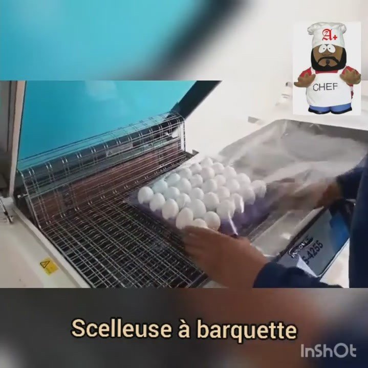 SCELLEUSE-A-BARQUETTES